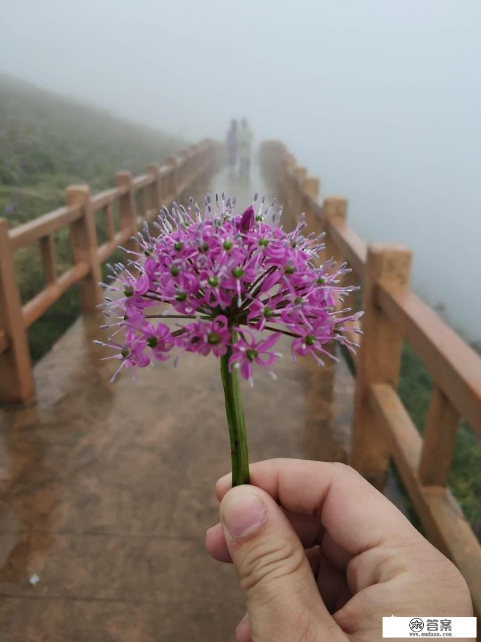 韭菜坪好玩吗