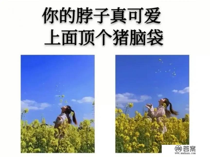 有什么好看的关于古代丫鬟和少爷故事的小说吗