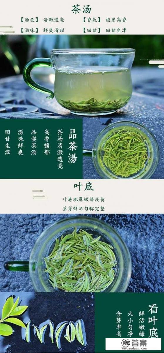 有哪些关于绿茶的小知识分享