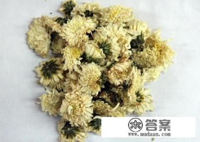 菊花茶有哪些功效与禁忌