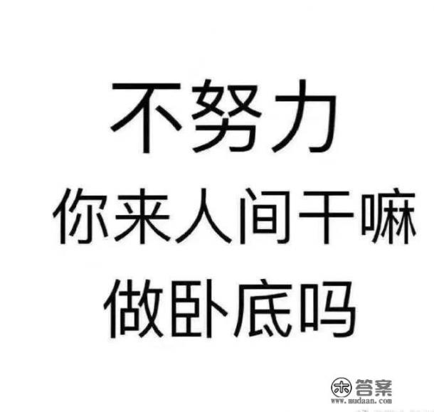 乐子游戏是什么意思