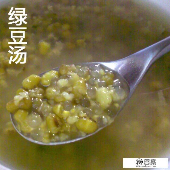 绿豆的生长过程（附图片）