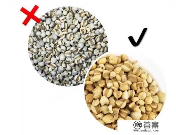 红豆薏米茶怎么做