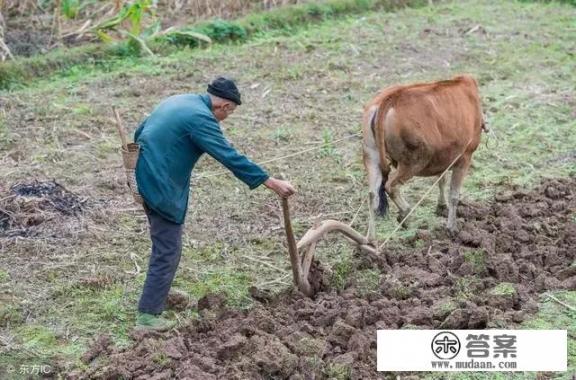 农村老人说惊蛰到，有三样东西要扔掉，都是哪三样东西呢