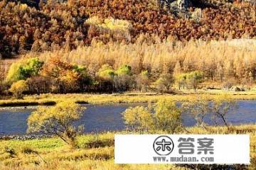 内蒙古呼伦贝尔的特产都有什么