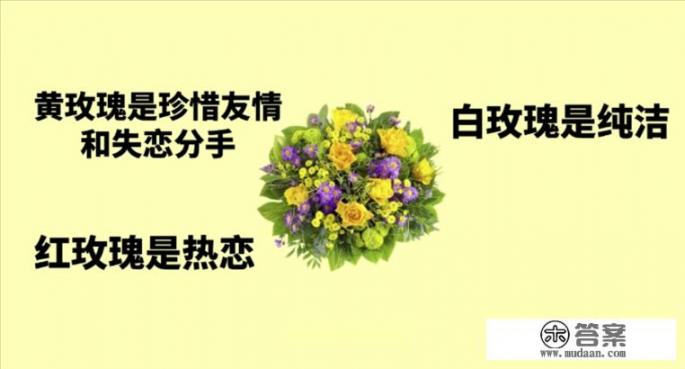 情人节适合送什么花表达