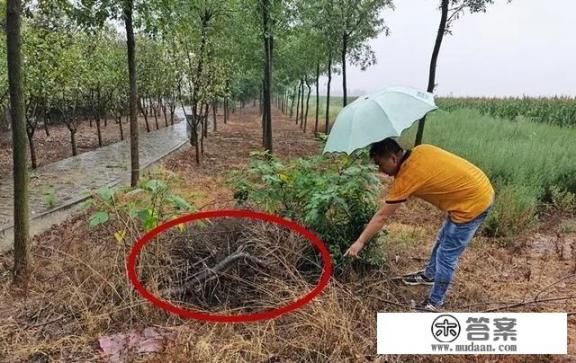 山西运城女教师遇害十七年后开棺验尸，丈夫招供又翻供，真正凶手在哪