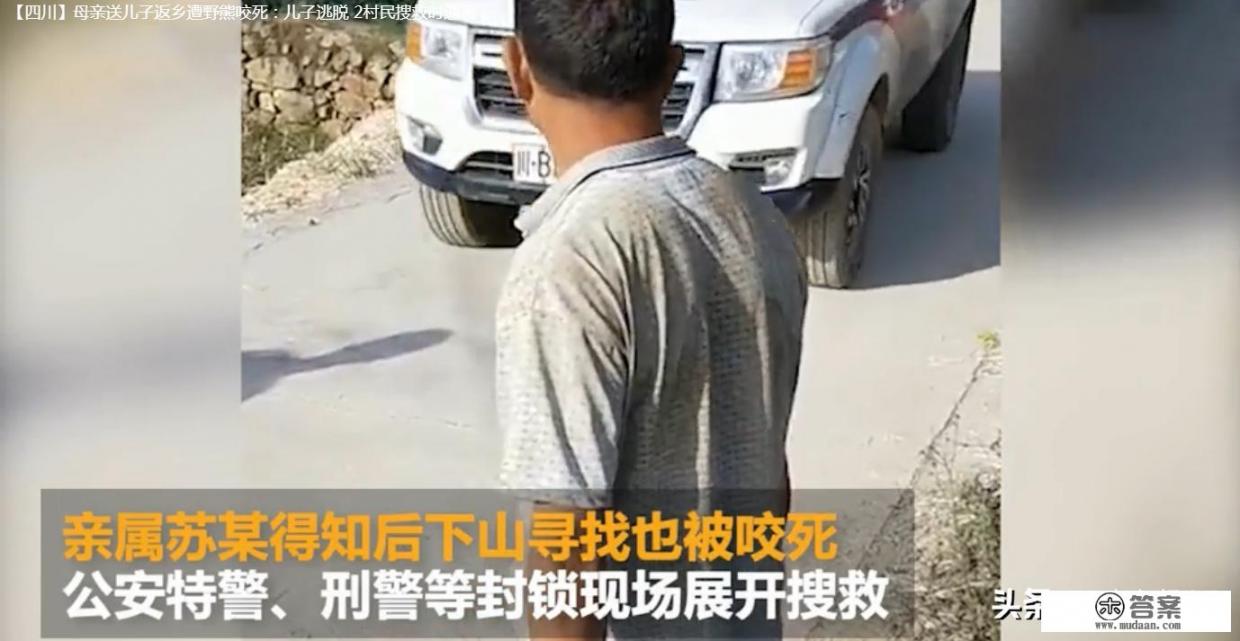 会讲恐怖故事的大鳄鱼讲了什么恐怖故事？