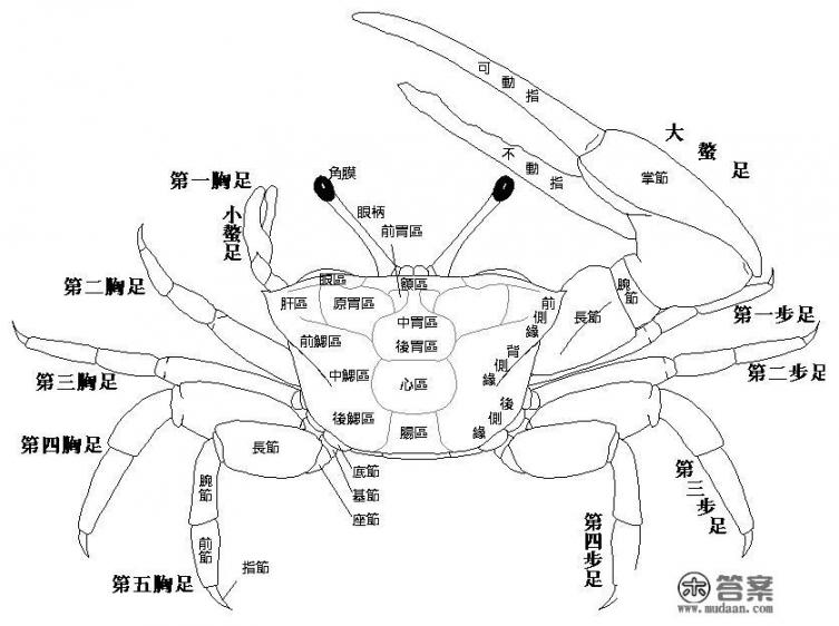 为什么三四月份也有大闸蟹卖？可以吃么？