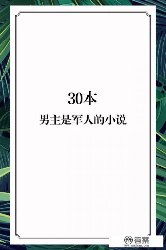 哪位好心人能推荐几本男主是军人或警察的言情小说？