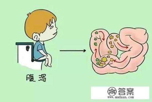 拉肚子好了之后吃什么食物比较有营养呢？