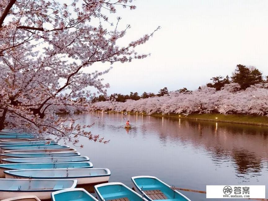 日本旅游，有哪些地方是必须要去玩的？