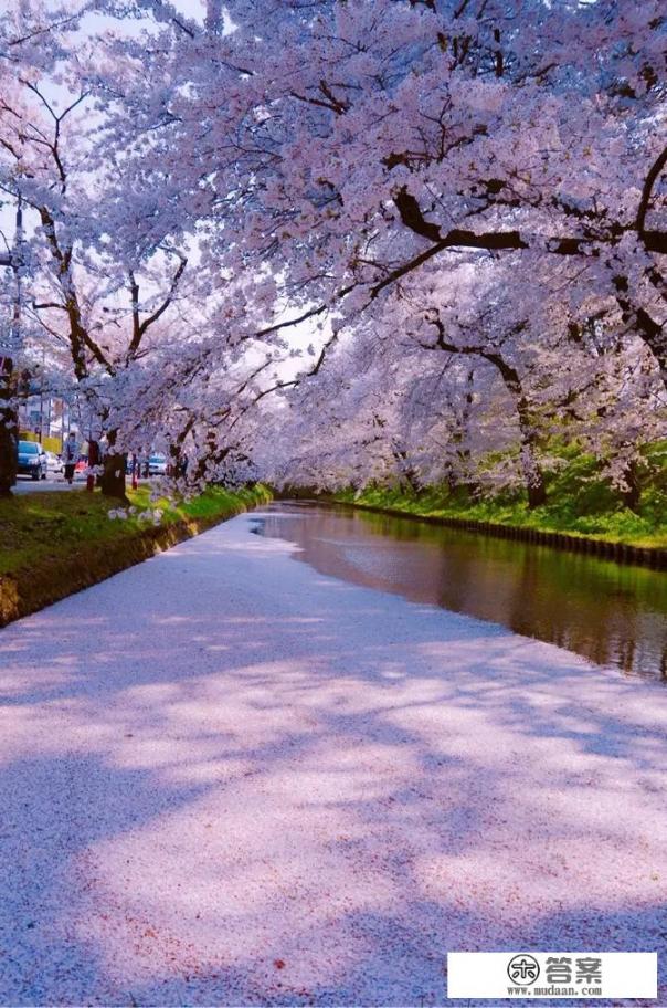 日本旅游，有哪些地方是必须要去玩的？