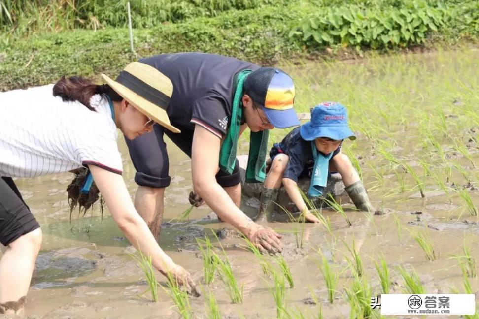 关于“甘肃省会宁县杨集乡邢坪村石岔社柳岔小学，”这个地方的一些问题？