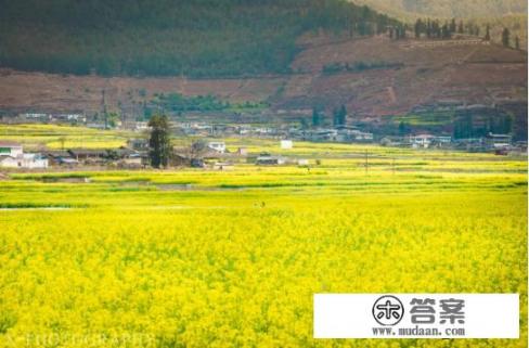 攀枝花必去的五个景点？