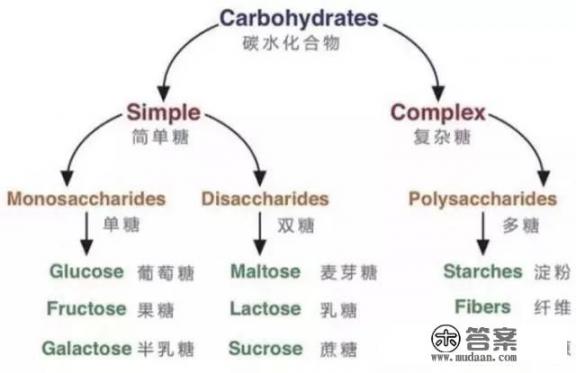 什么蔬菜减肥最快,吃什么蔬菜减肥效果最好？