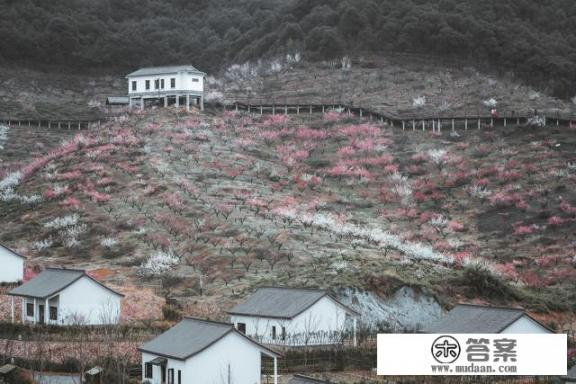 湖州妙西镇旅游景点？