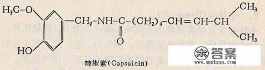 “辣”的反义词是什么？