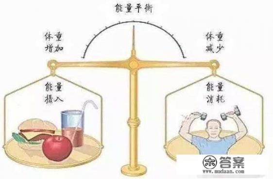 怎样的制定科学的减脂塑形计划？