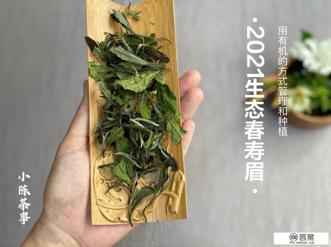 茯茶与红茶的区别有哪些