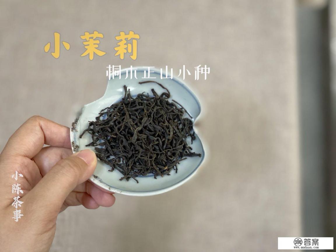 茯茶与红茶的区别有哪些