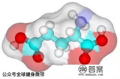 减肥的人晚饭吃什么比较好