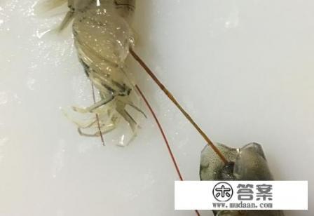 清蒸虾怎么做好吃