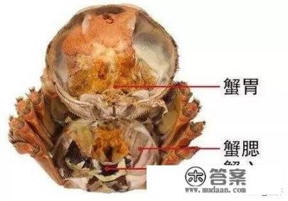 螃蟹哪个部位不能吃