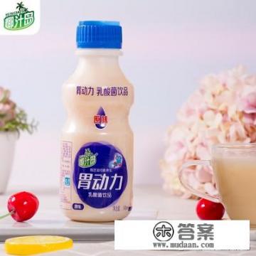 杨梅乳酸菌特饮配方