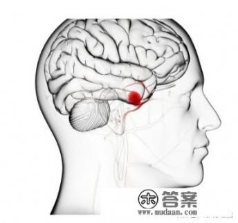 脑血栓吃鸡肉行吗