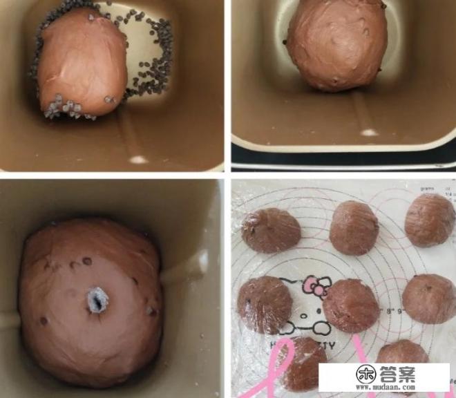 黑眼豆豆是什么豆