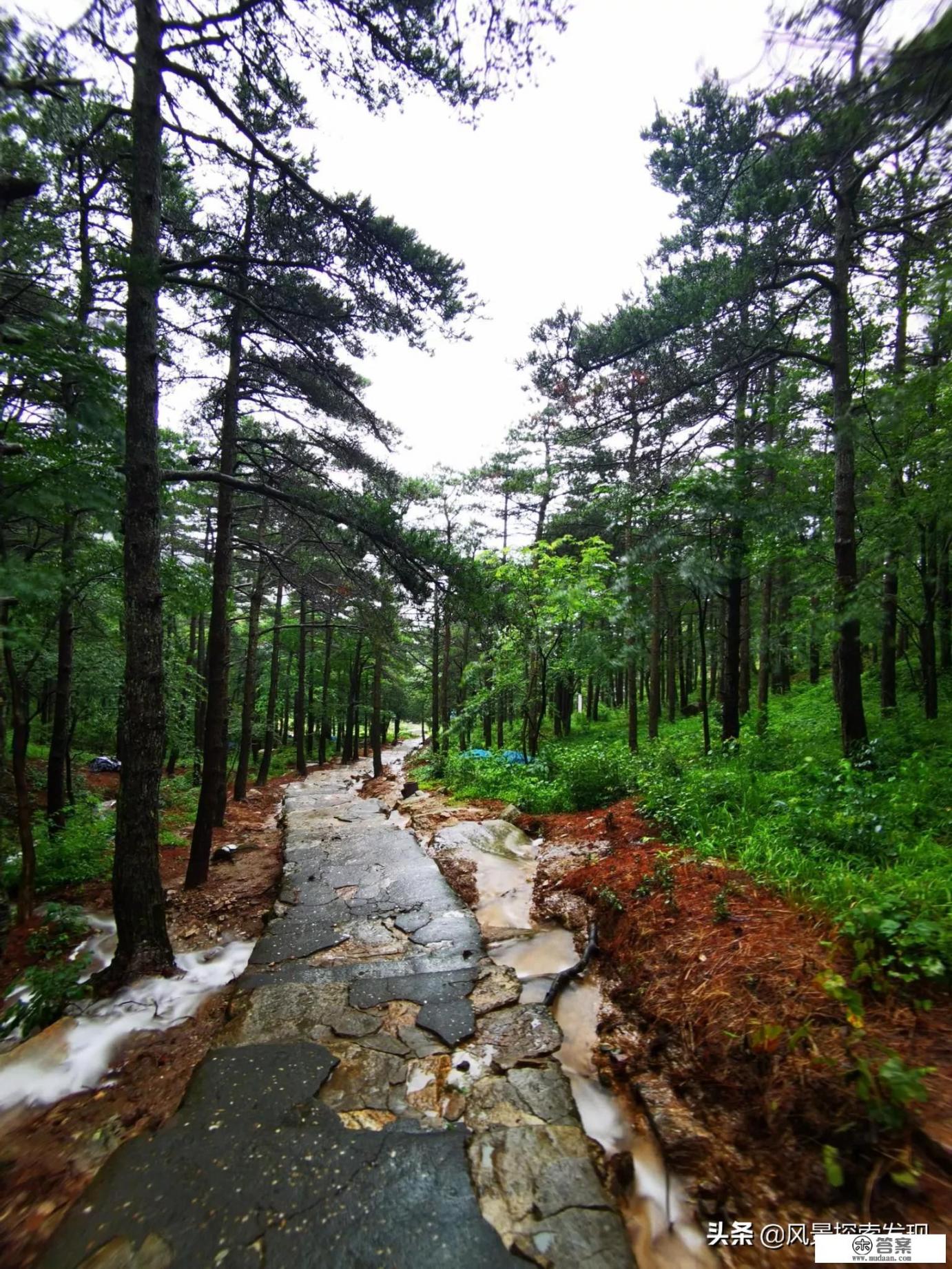 庐山旅游住哪里比较好