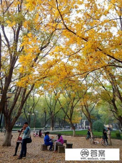 学医除了济宁医学院还有哪些医学院？