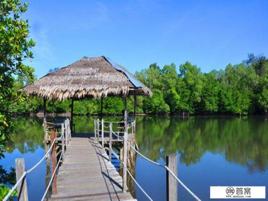 去沙巴旅游随身带多少钱合适? 去沙巴旅游随身带多少钱合适?