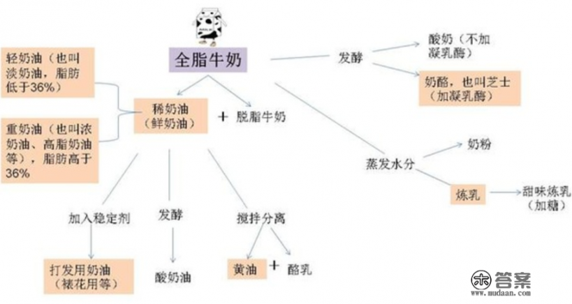 动物稀奶油是什么奶油？