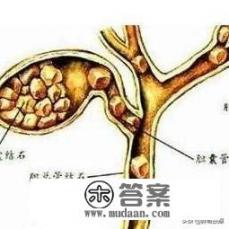 狗宝，地方名称？