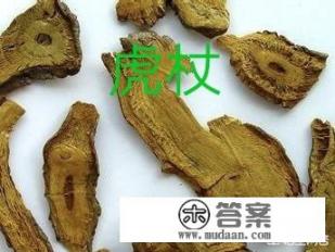 什么是虎杖？