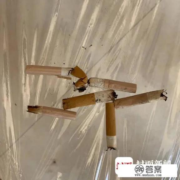 曾春亮不被抓还会继续作案吗，他杀人后有过害怕吗？