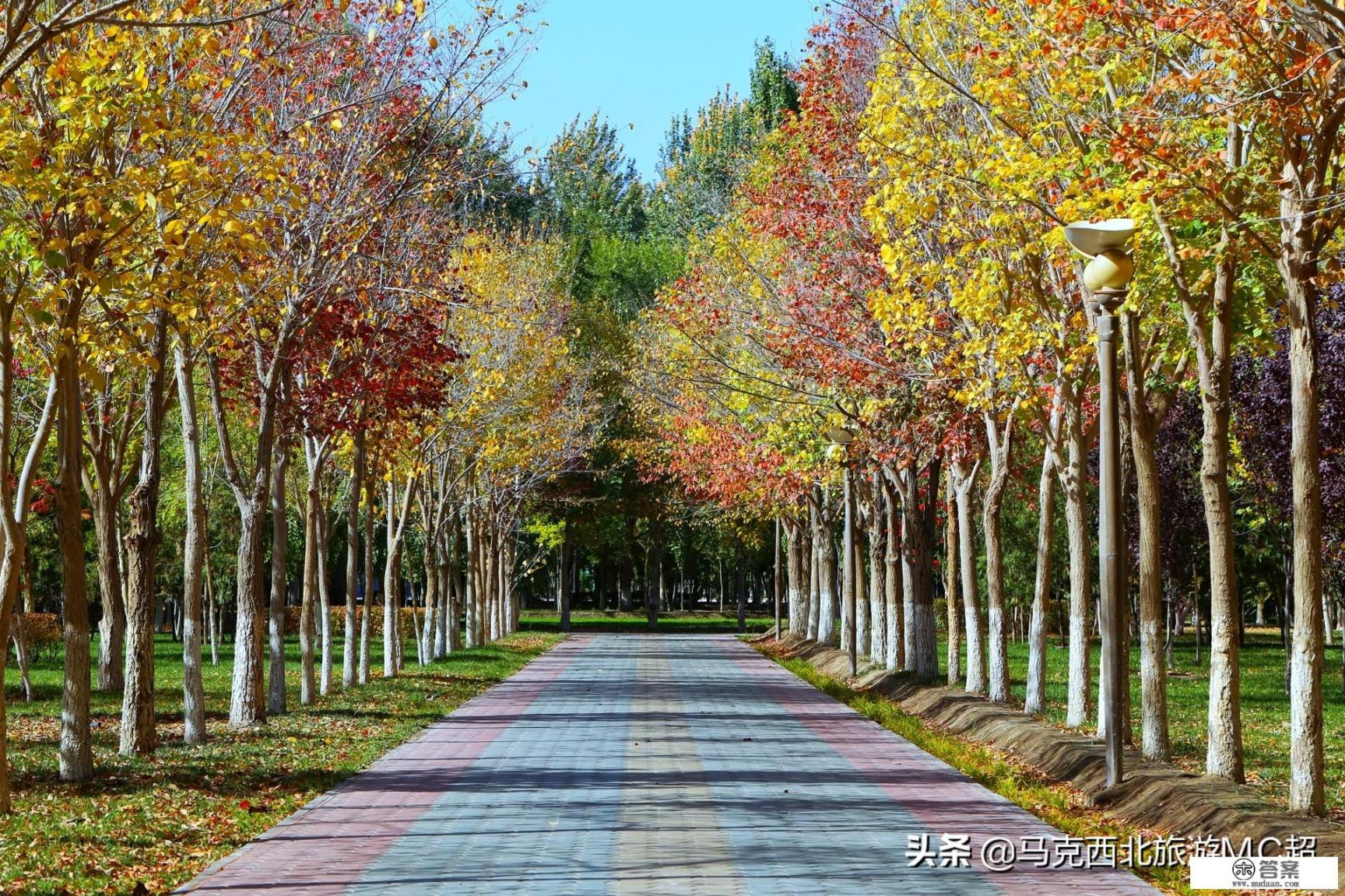 阿拉尔附近有什么值得去旅游的地方？