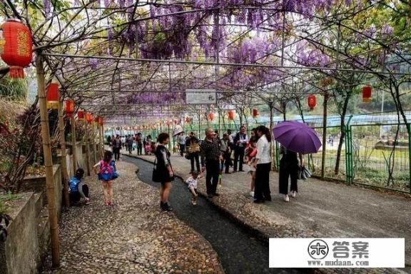 除了那些出名的景点，龙岩本地人最爱去哪玩？