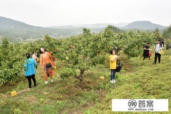 丹东必去的三大景点? 丹东必去的三大景点?