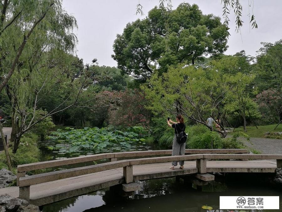 介绍一下江南风景的美丽和特色？