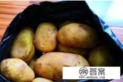 土豆怎么保存不发绿不长牙？
