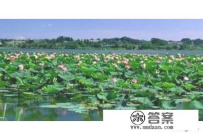 泰安旅游景点大全? 泰安旅游景点大全?