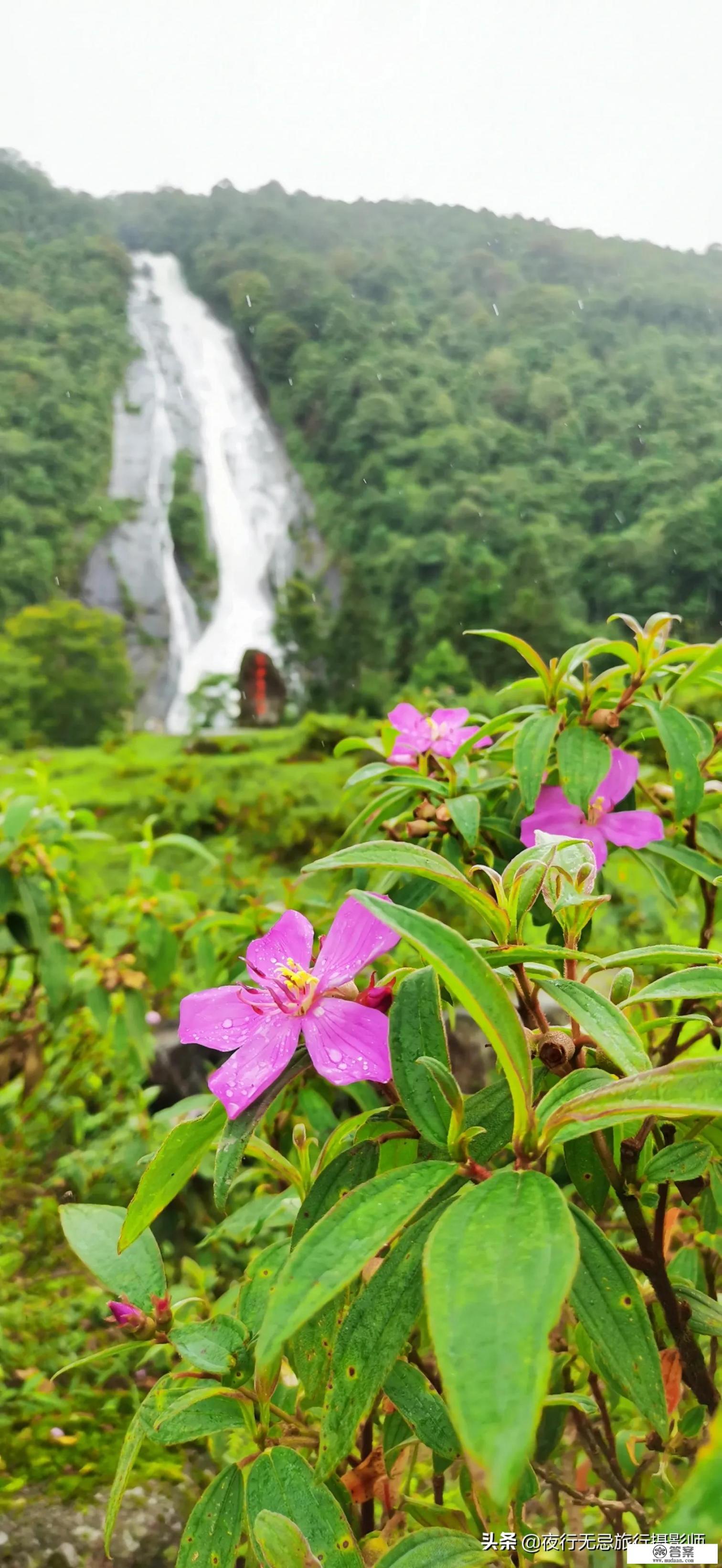 外出旅游去云南好还是张家界好？我想去个风景好的地方？