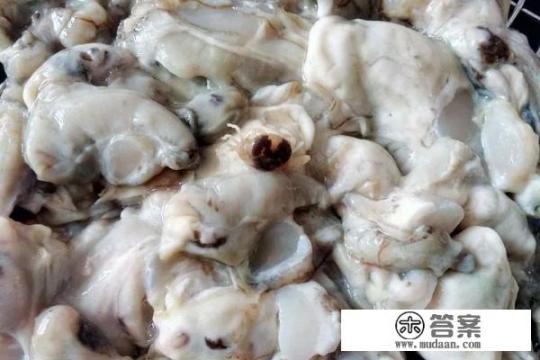 8种皮薄馅大的饺子做法？