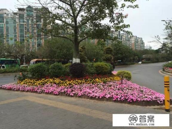 去深圳打工怎么样？