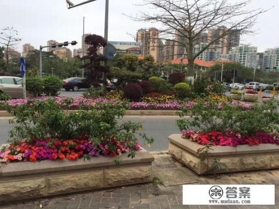 去深圳打工怎么样？