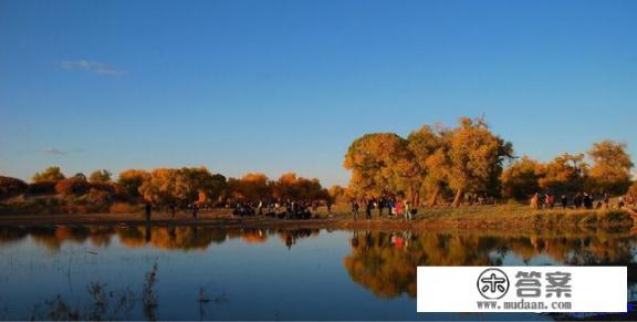 去额济纳旗看胡杨林哪个时间最好？