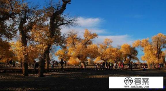 去额济纳旗看胡杨林哪个时间最好？